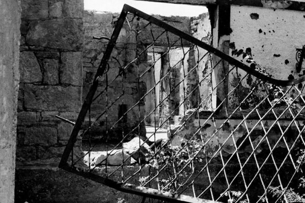 sandra-wis-sarajevo-3